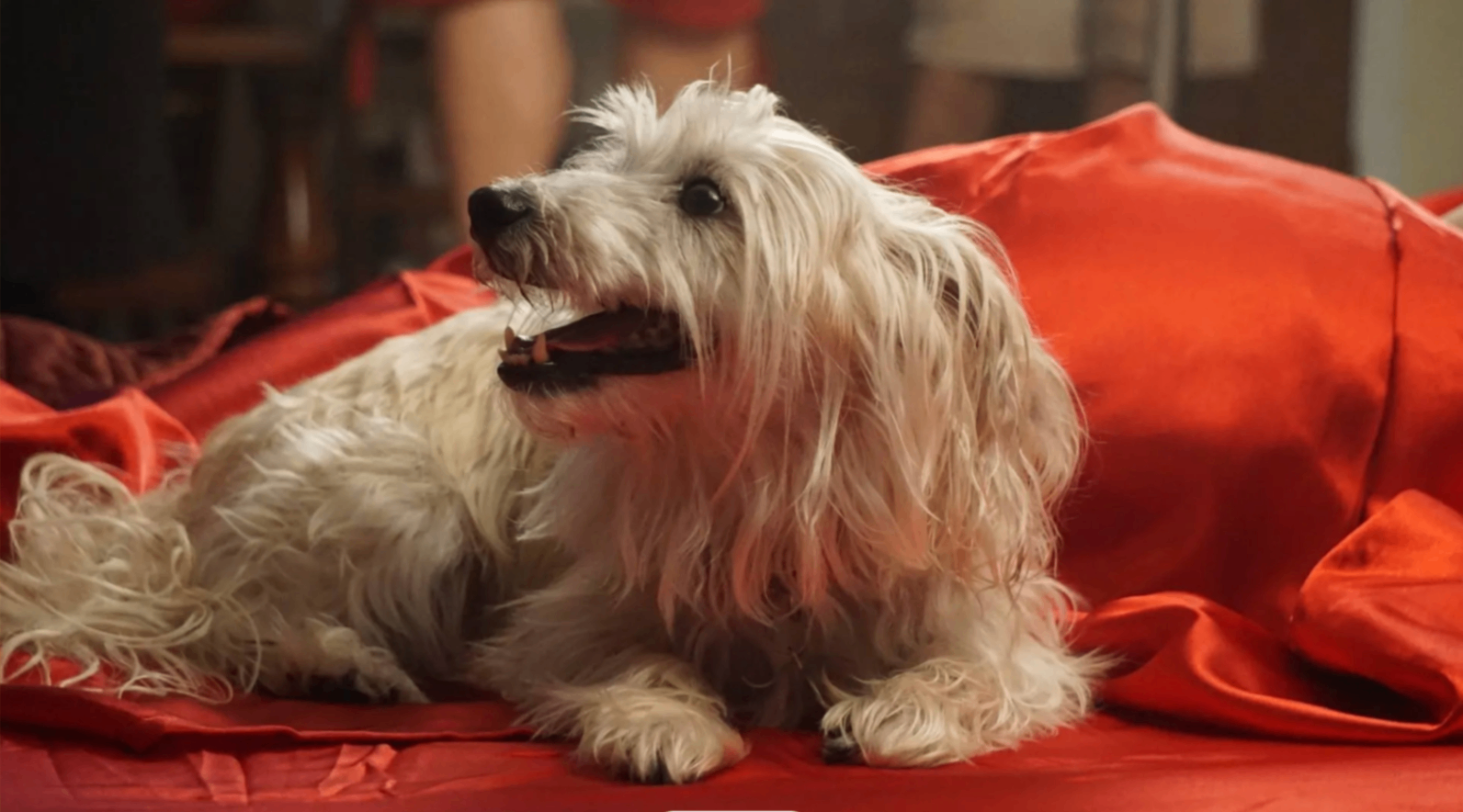 An Accidental Zombie (Named Ted) — stills and behind the scenes