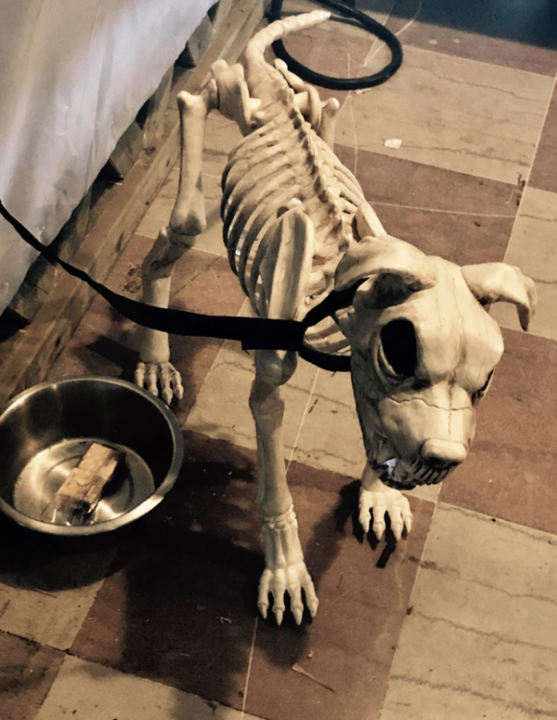 An Accidental Zombie (Named Ted) — stills and behind the scenes