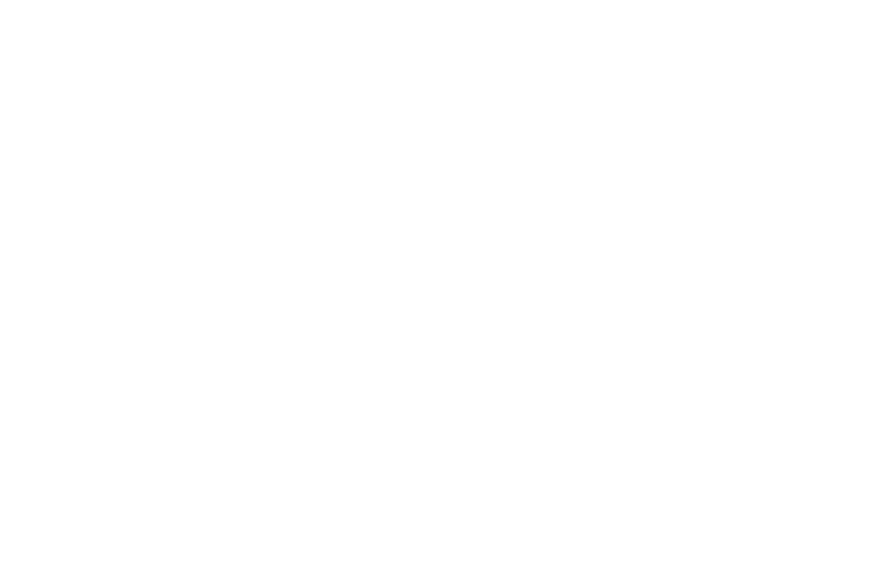 Official Selection — OVFF