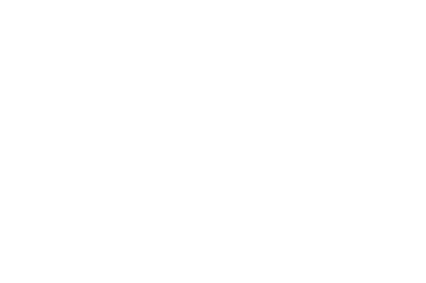 Official Selection — Wallachia International Film Festival